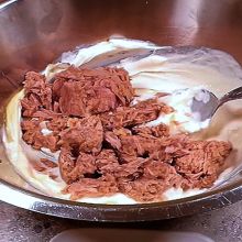 Thunfisch mit Mayonnaise und Quark