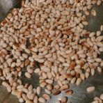 Roasting the pine nuts