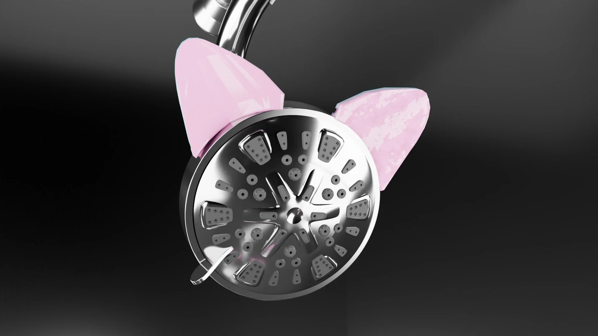 ShowerKapp