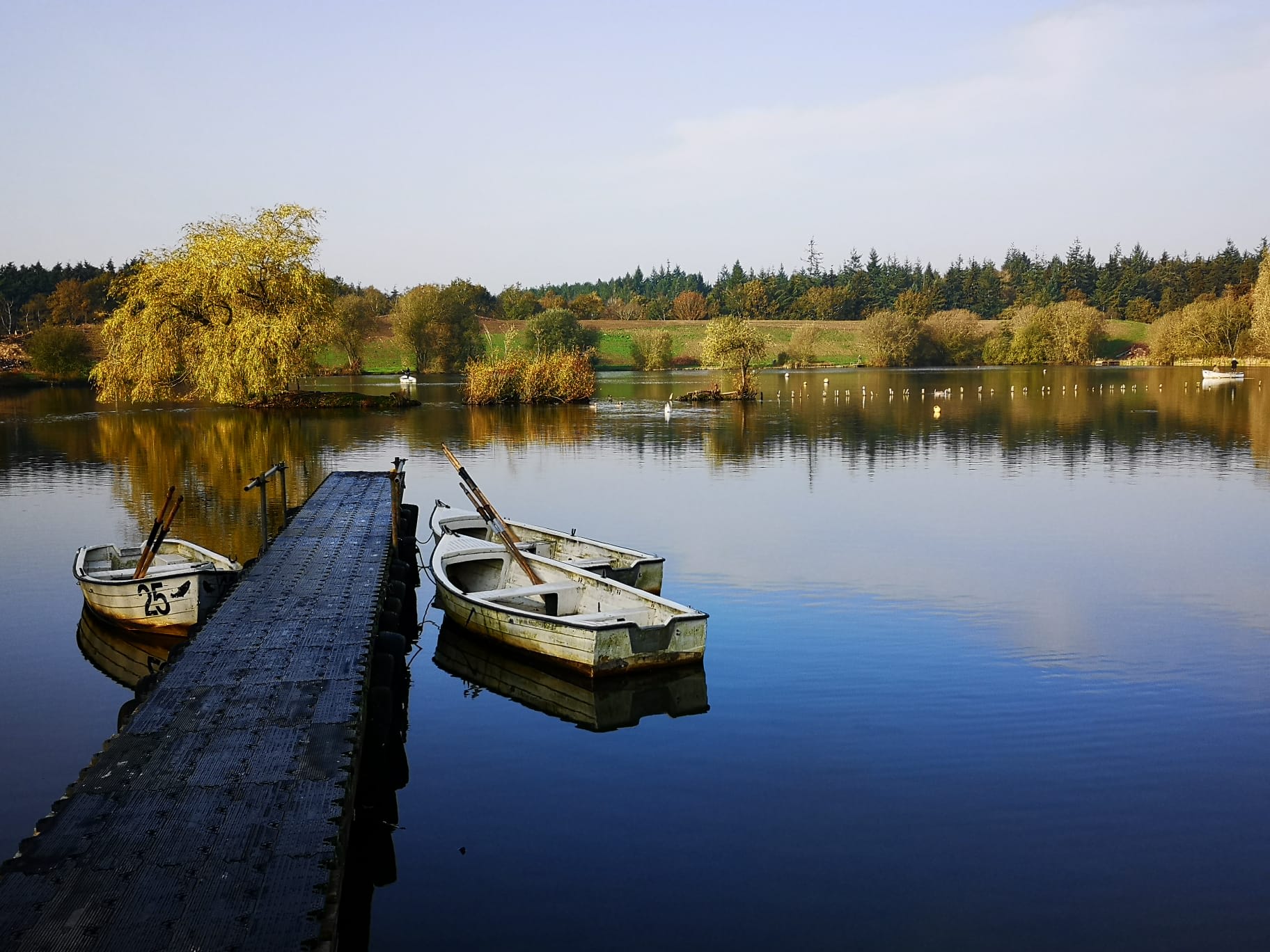 Felix Farm Trout Fishery | Catch