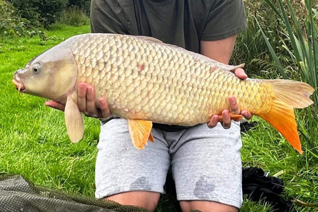 One place to go, for the novice or pro anglers Catch