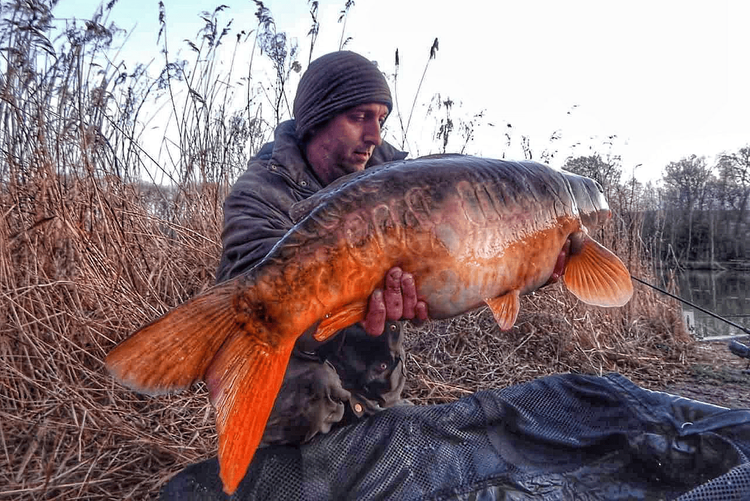 Carp fishing from a boat, a fast and efficient approach