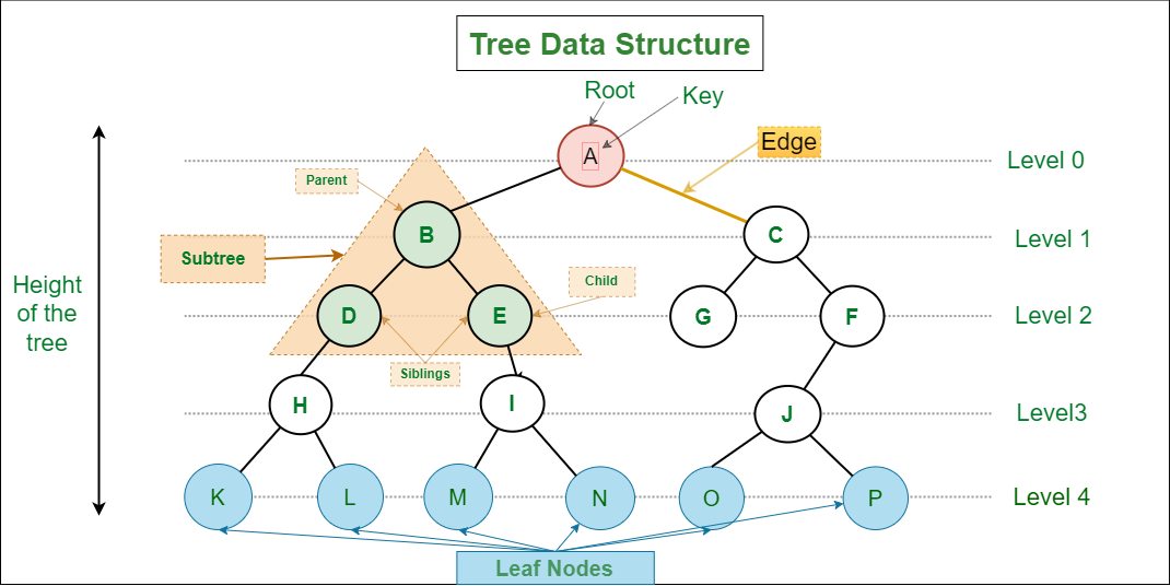 Mô tả Serialization/Deserialization Binary Tree