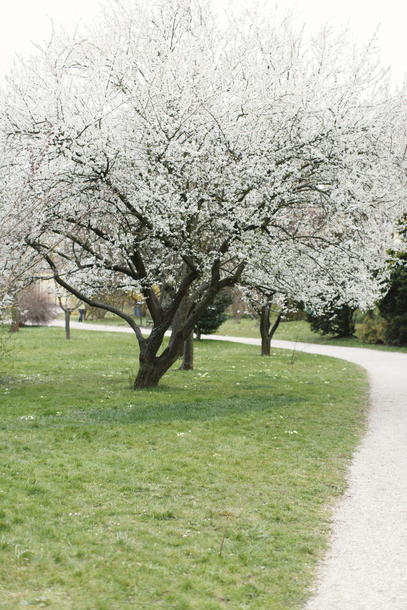 Spring Time