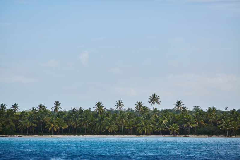 Saona Love
