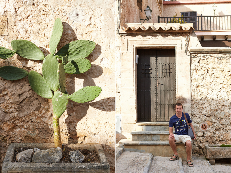 The North of Mallorca