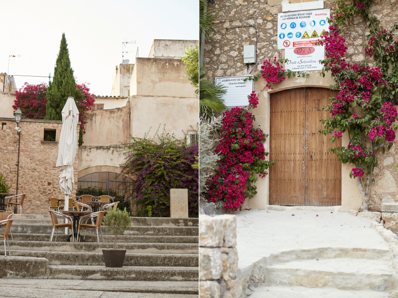 The North of Mallorca
