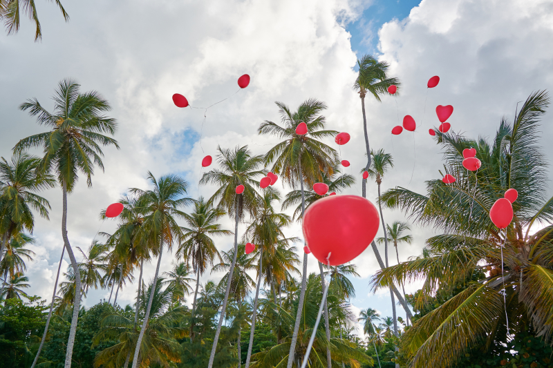 Dream Wedding in Punta Cana