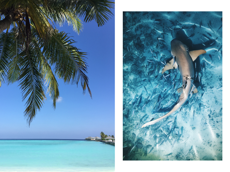 Maldives