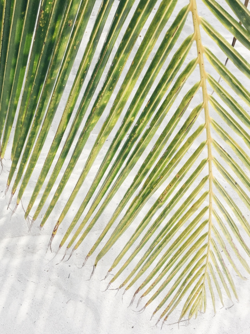 Maldives