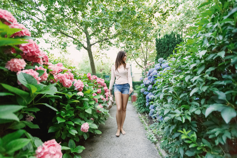 Eszter in Hydrangea Paradise