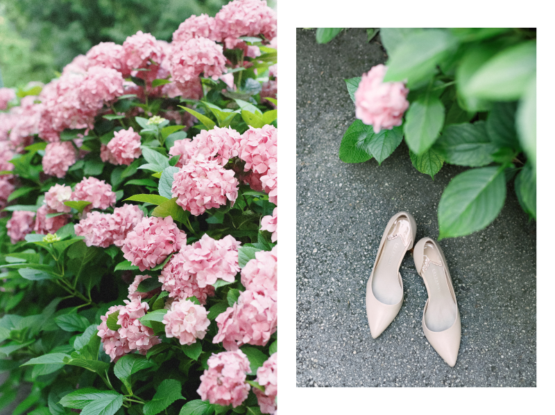 Eszter in Hydrangea Paradise