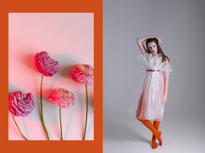 Valeria for Lucky Chameleon