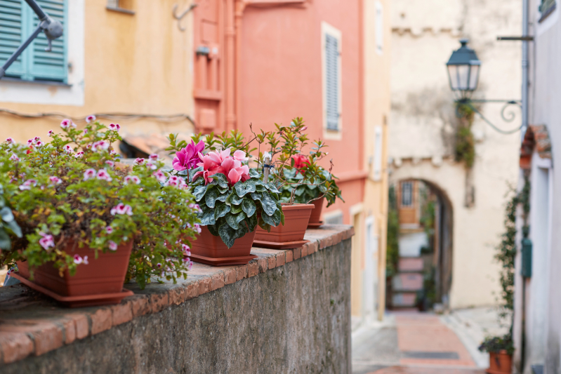 Streets of Menton