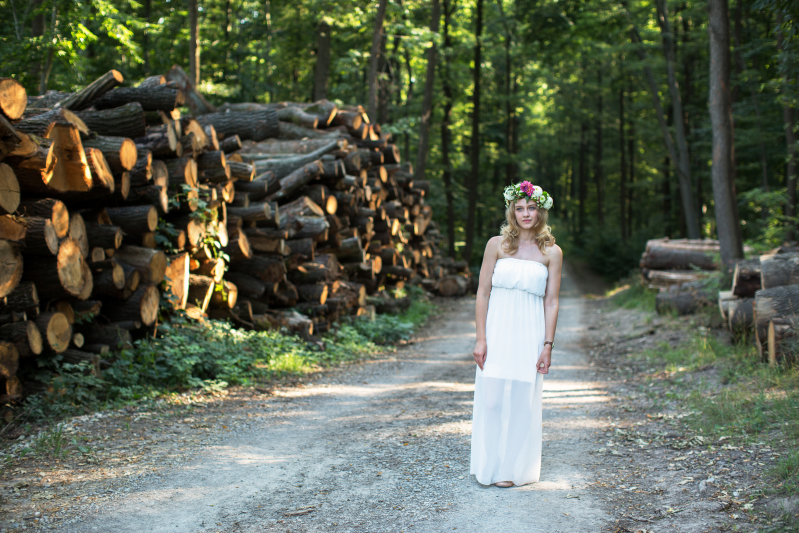 In the Forest