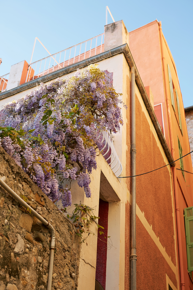 Streets of Menton
