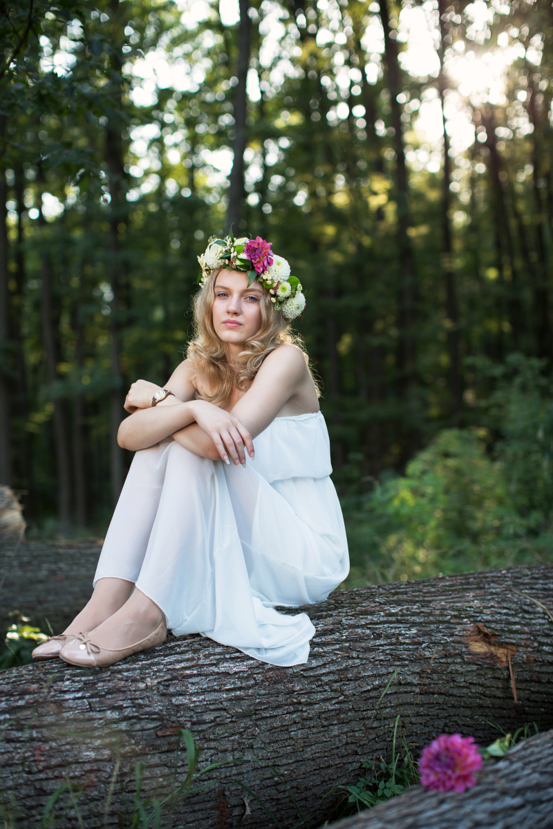 In the Forest