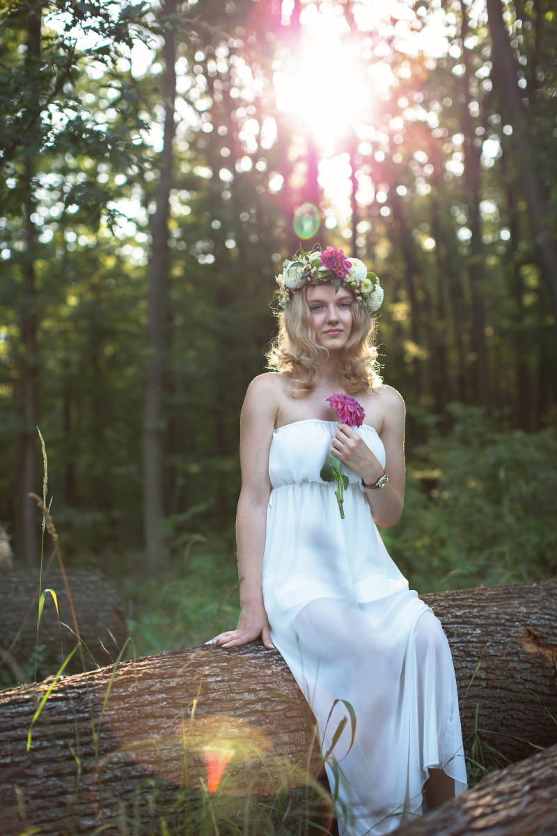 In the Forest