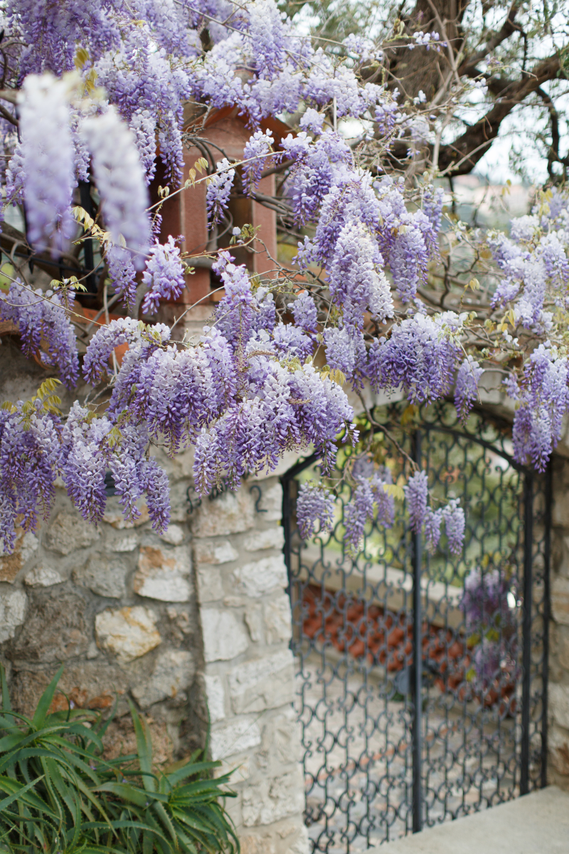 Côte d Azur