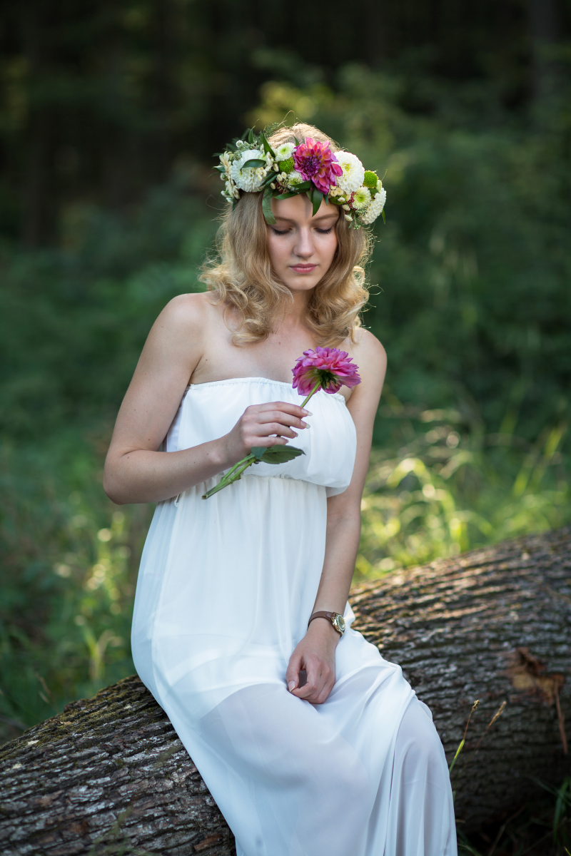 In the Forest
