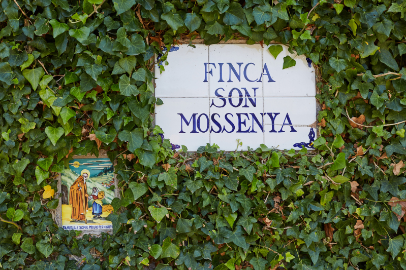 Streets of Valldemossa