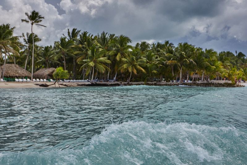 Saona Love