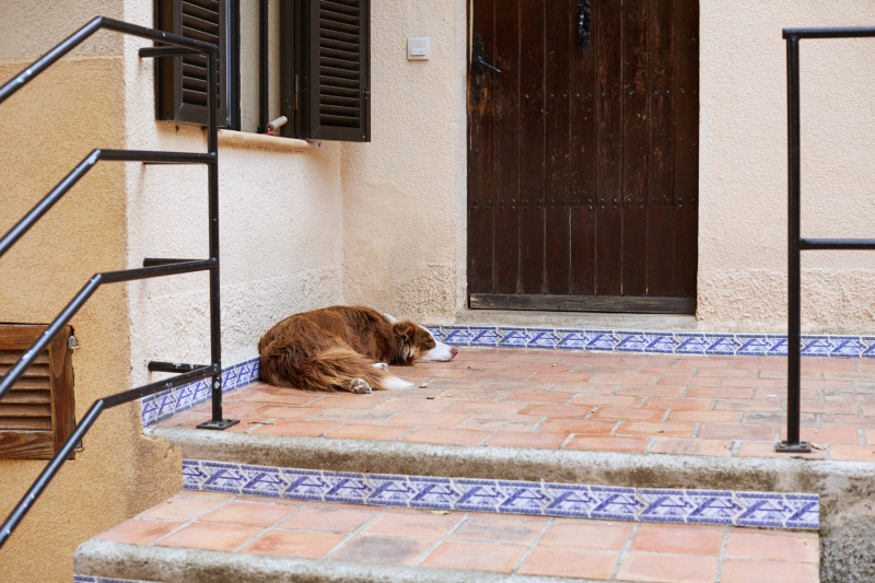The North of Mallorca