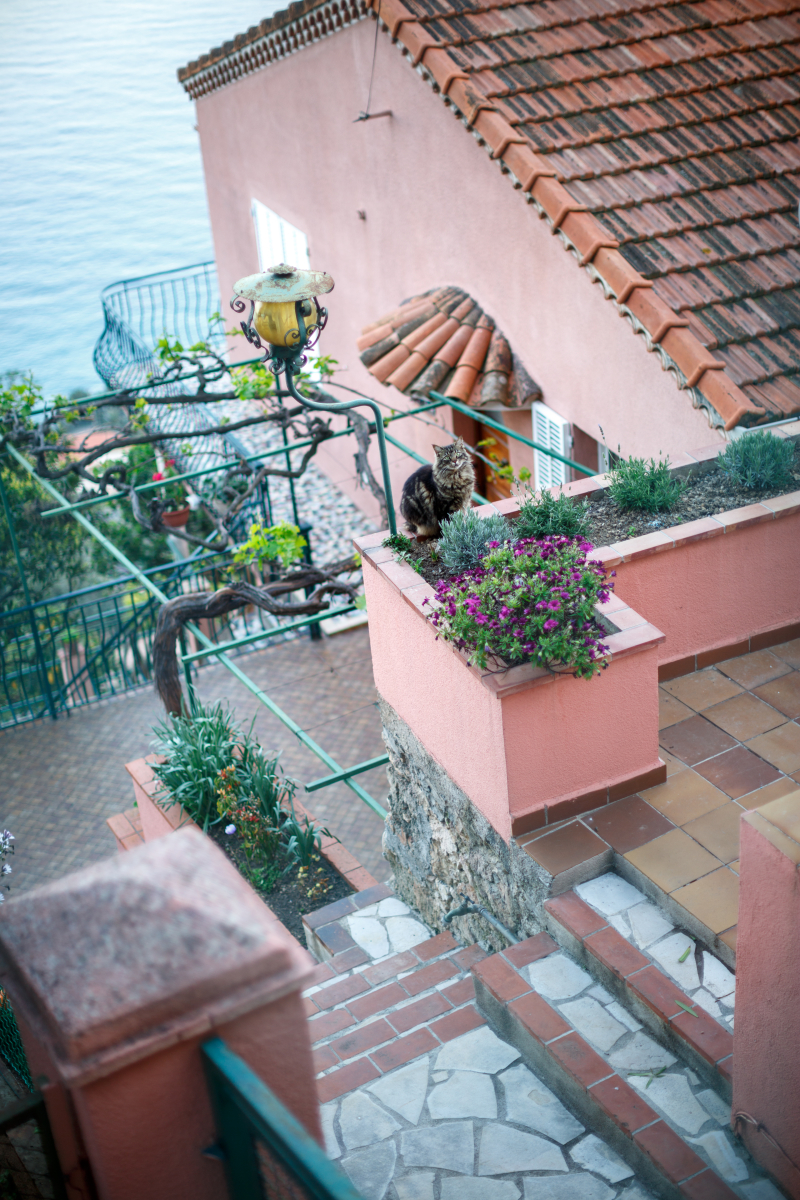 Côte d Azur