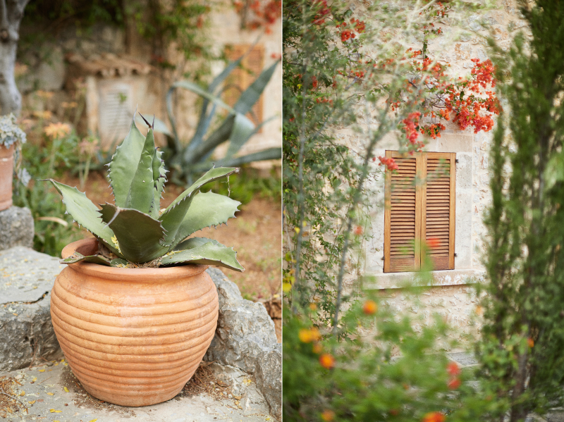 The North of Mallorca