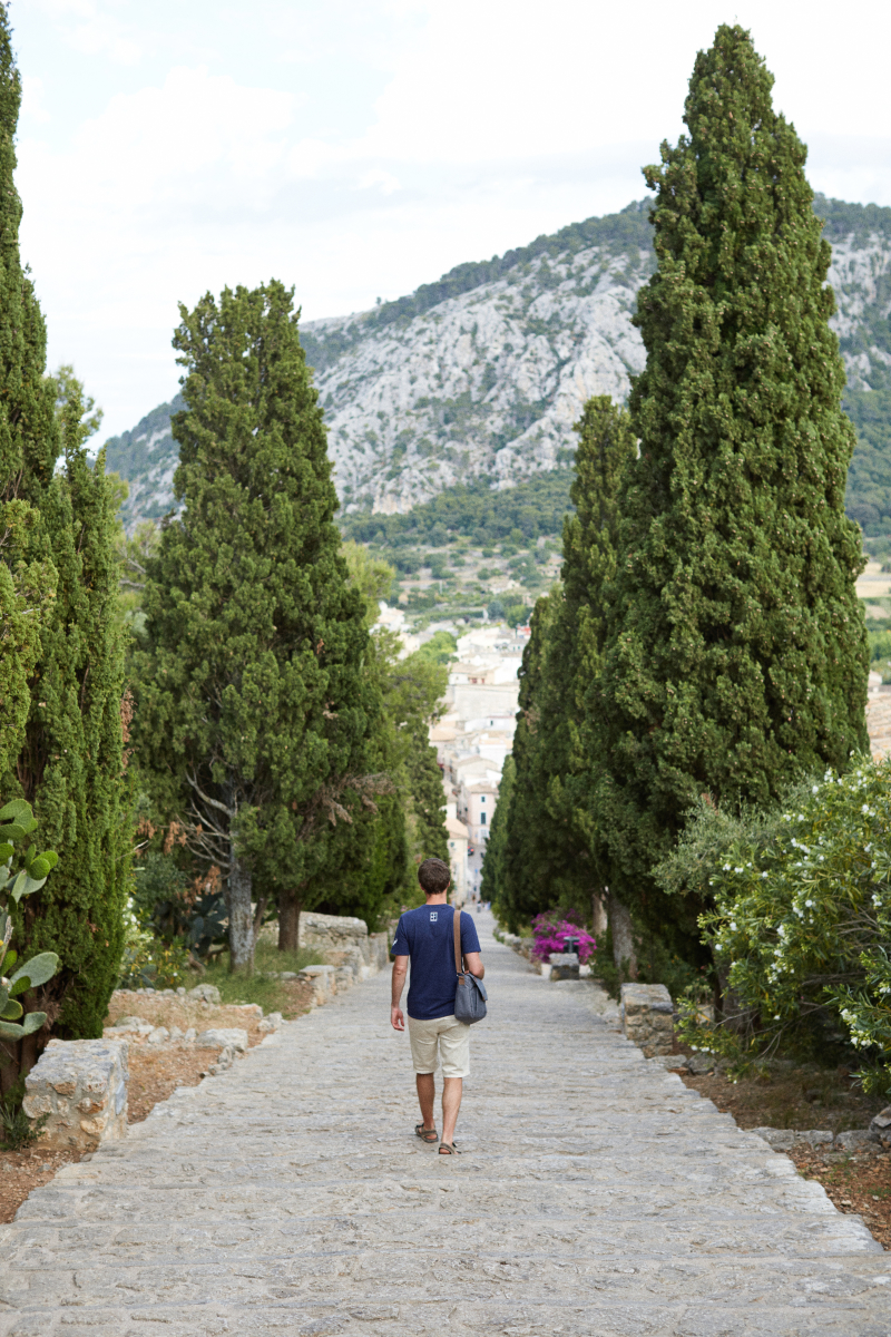 The North of Mallorca