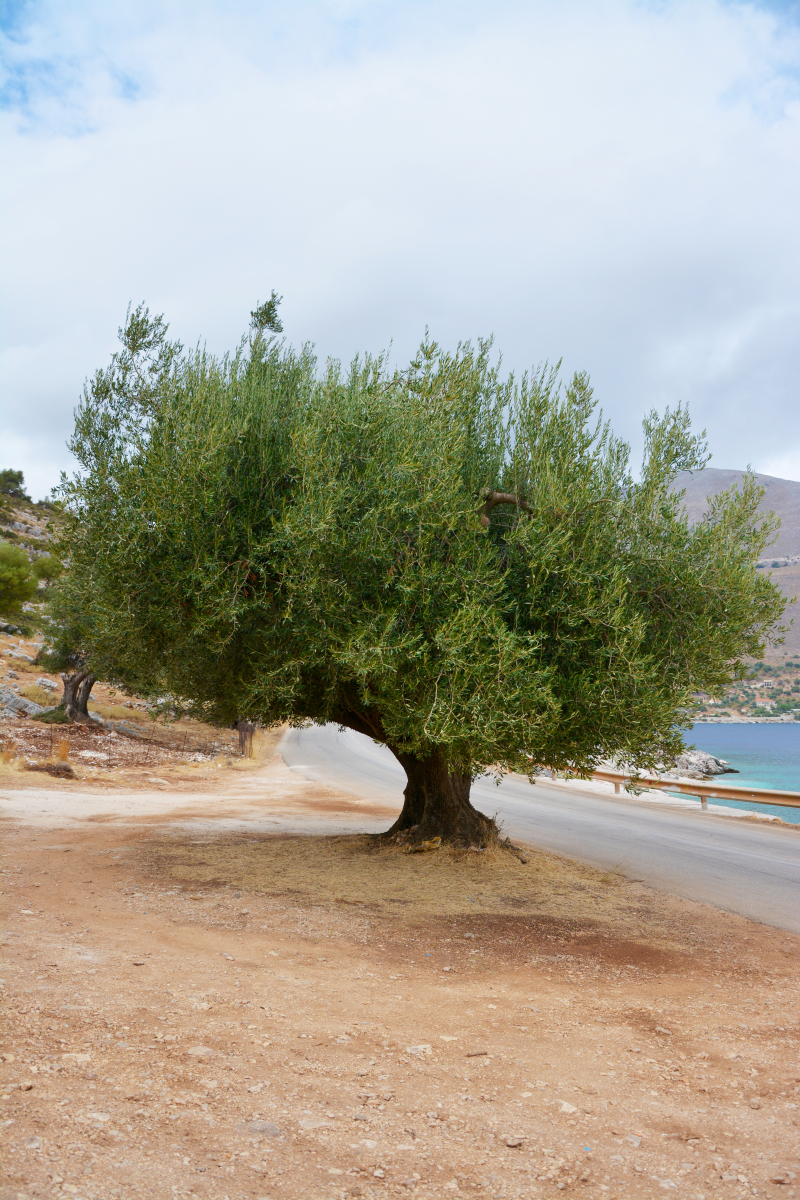 Kefalonia island, Greece