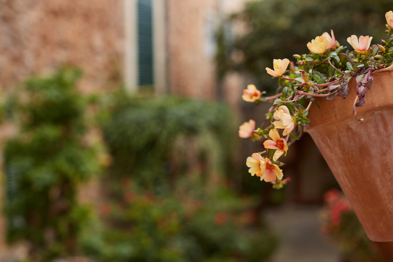 Streets of Valldemossa