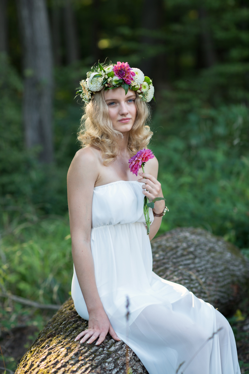 In the Forest