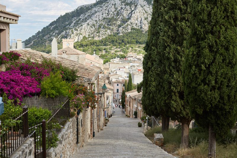 The North of Mallorca
