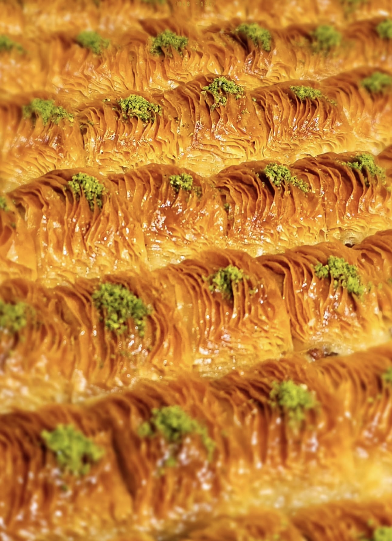 چهارگوش گردویی