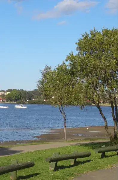 Rubbish Removal in Canada Bay