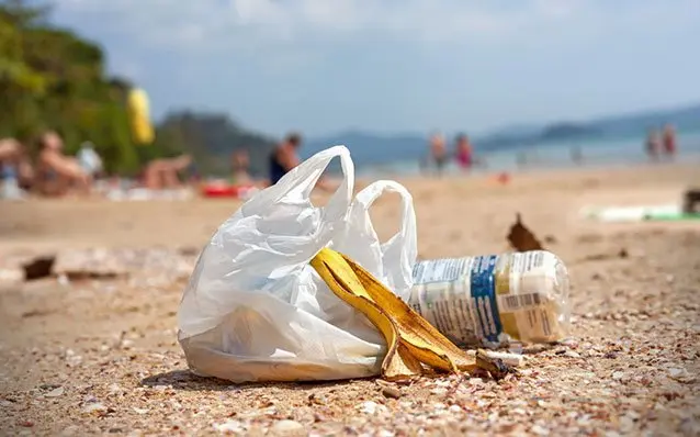 9 littering facts that you should know in 2023