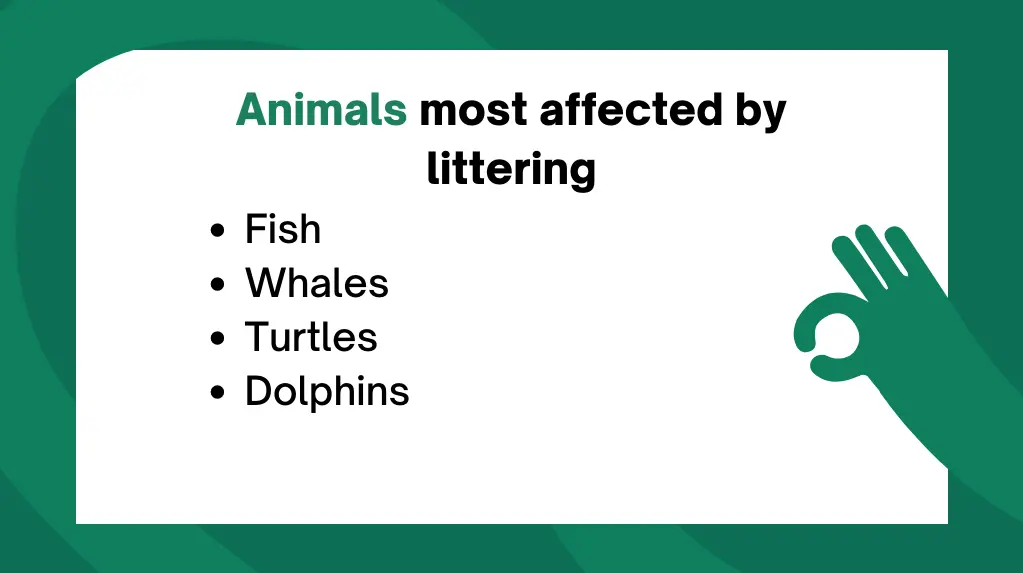 Animals most impacted by littering