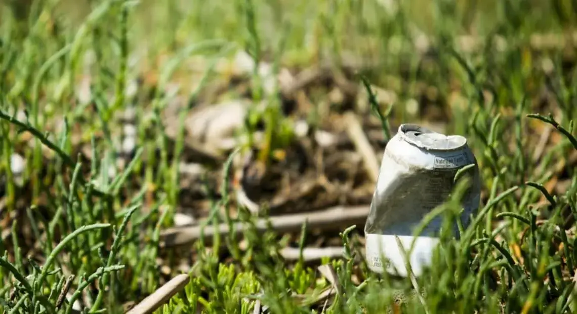 How Does Littering Affect the Environment? Ridly