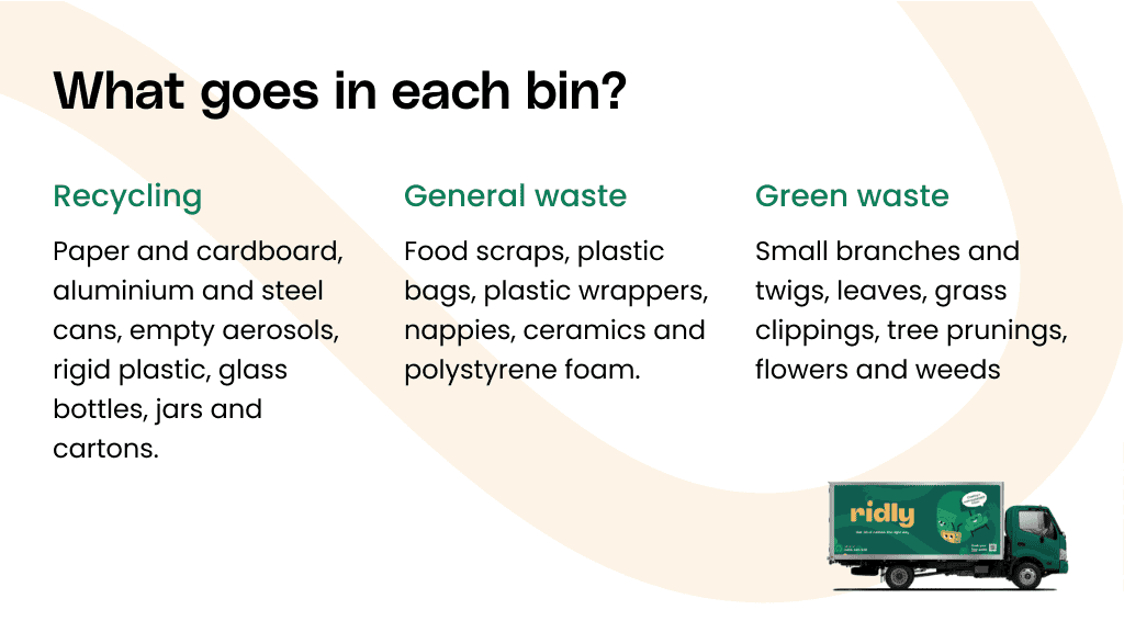 What goes in each bin?