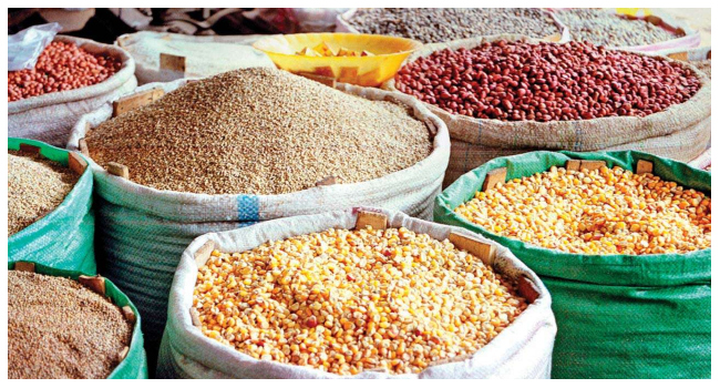Global Food Crisis Warning: FAO Report Reveals Urgent Threats to Feeding 10 billion by 2050