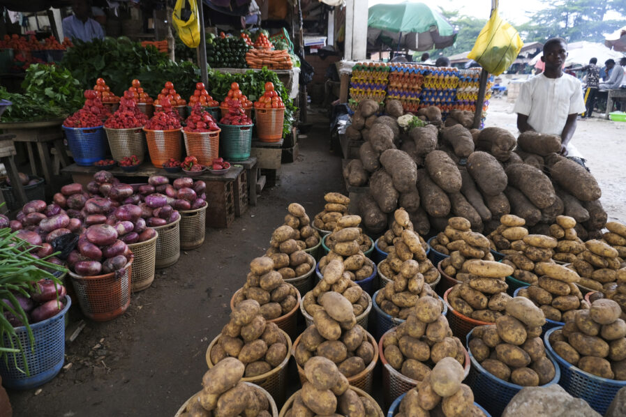 Nigeria Food Summit 2025: Revolutionizing the Culinary and Agricultural Landscape By Gbenga Akinfenwa