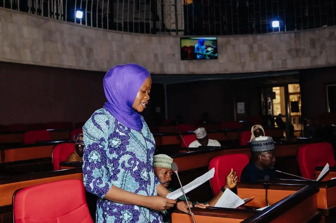 Rukayat Shittu Introduces Bills On Unexplained Wealth And Religious Regulation