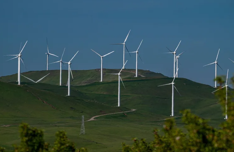Climate Company That Partnered with Meta and Microsoft Declares Bankruptcy