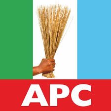 APC Unveils Nomination Fees and Election Guidelines for Lagos LG Polls
