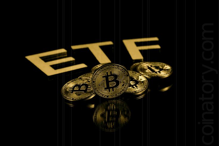 Bitcoin ETFs Ride the Rollercoaster, Still Outpace S&P 500