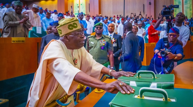 BudgIT reveals that the National Assembly added 11,122 projects totaling N6.9 trillion to the 2025 budget.