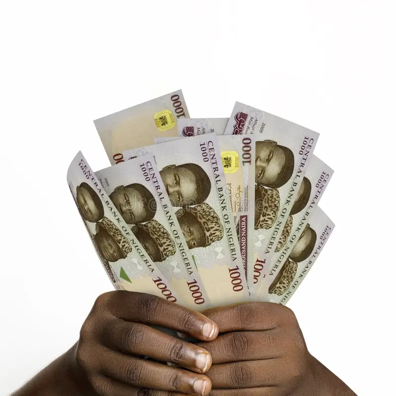 FX inflows through money transfer operators hit $4.76bn