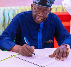 Tinubu Approves 22 New Appointments To Strengthen Federal Institutions