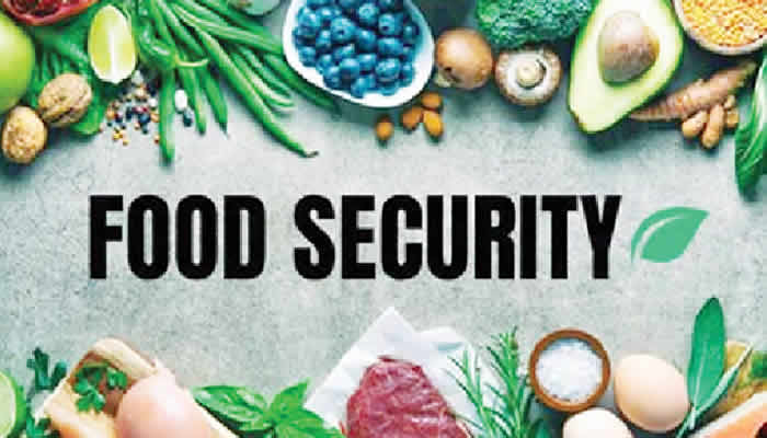 A United Push To Safeguard The Future Of Nigeria’s Food
